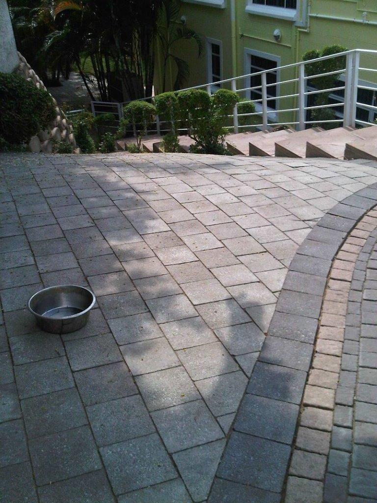 Harmony Jade urban sidewalks